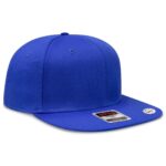 Flex-Fit Fitted 6 Panel Pro Style Baseball Cap