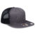 252503B - Ch.Gry/Ch.Gry/Blk