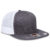252516B - Ch.Gry/Ch.Gry/Wht