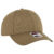 084 - Coyote Brown