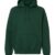 Fan Dark Green