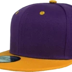 Flat Bill Snapback Hats