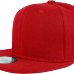 Flat Bill Snapback Hats