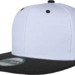 Flat Bill Snapback Hats