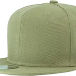 Flat Bill Snapback Hats
